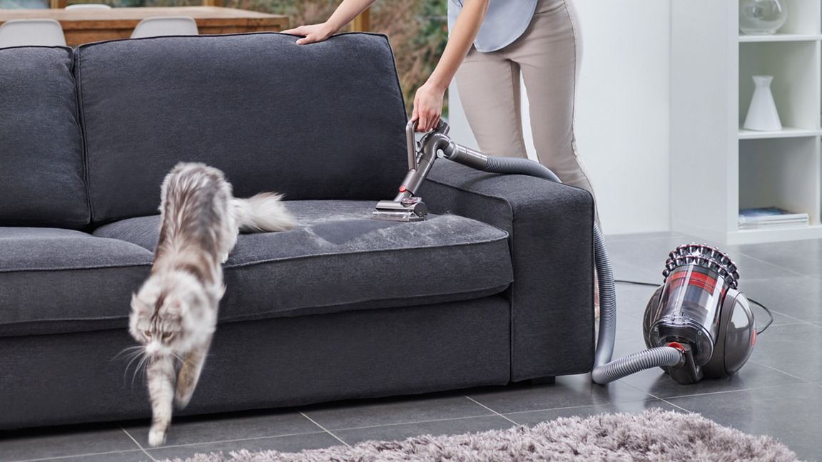 Aspirateur traineau Cinetic Big Ball™ Absolute 2