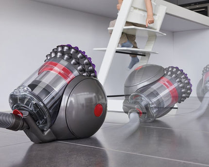 Aspirateur traineau Big Ball™ Parquet 2