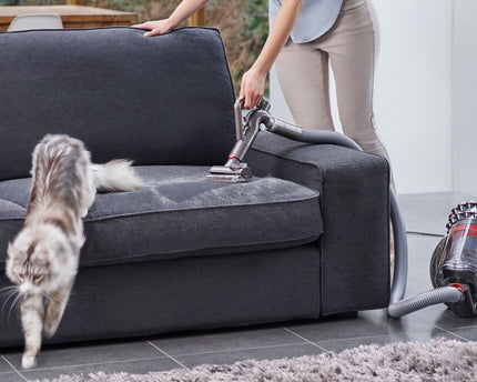 Aspirateur traineau Cinetic Big Ball™ Absolute 2